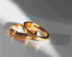 Two wedding rings